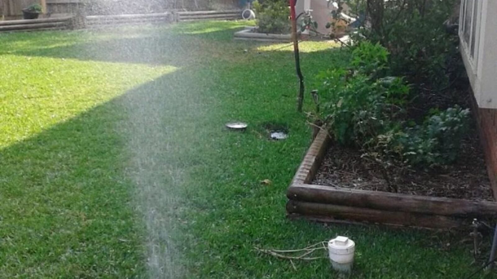 Pop-up sprinkler head spraying a fan of water across a green lawn at golden hour