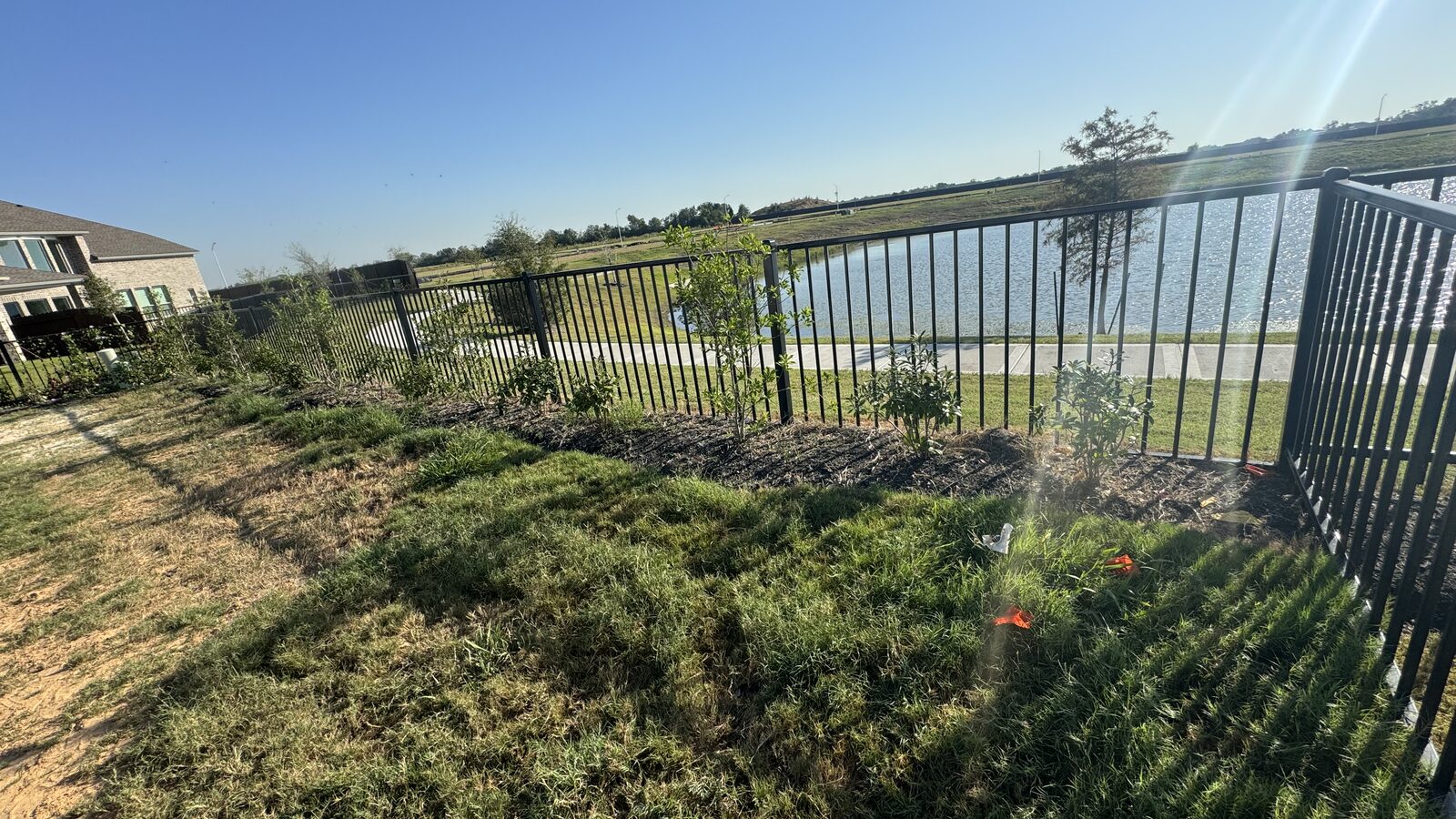 A freshly planted Pearland flower bed with drip line tucked under the mulch