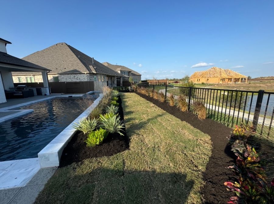 Fresh sod and landscaping beside a pool