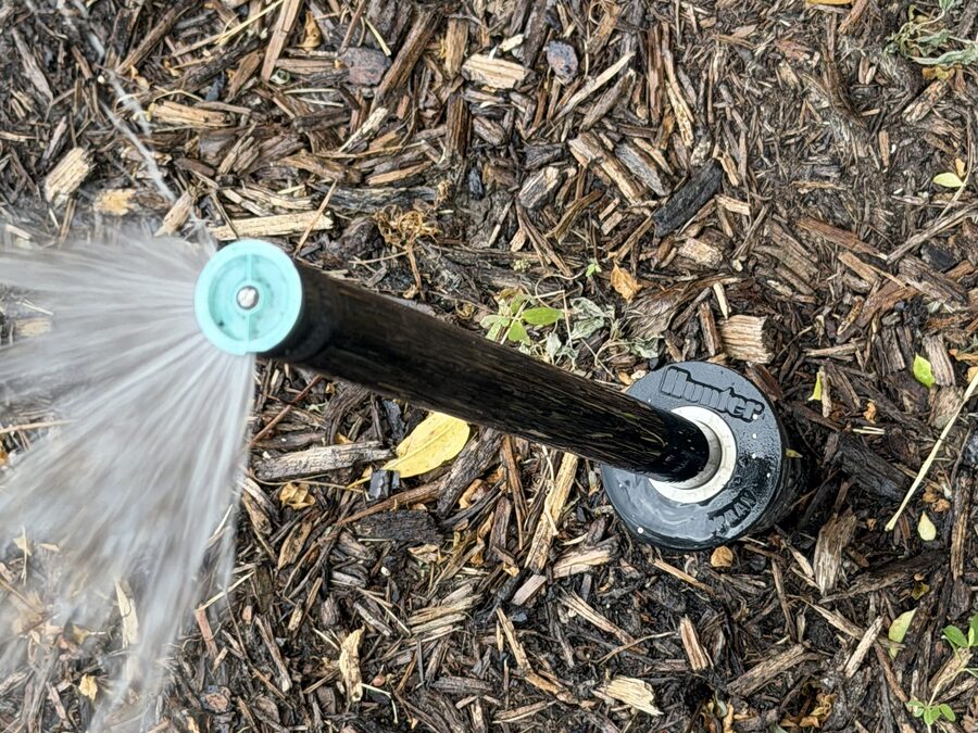 Sprinkler head spraying cleanly after a repair in a mulched bed