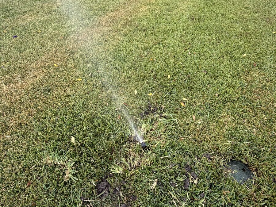 Sprinkler head watering a healthy green lawn
